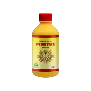 PENDISAFE
